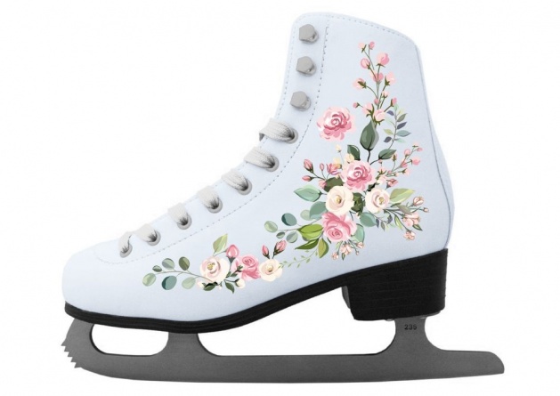 Коньки фигурные Atemi AFSKD03 фото 1